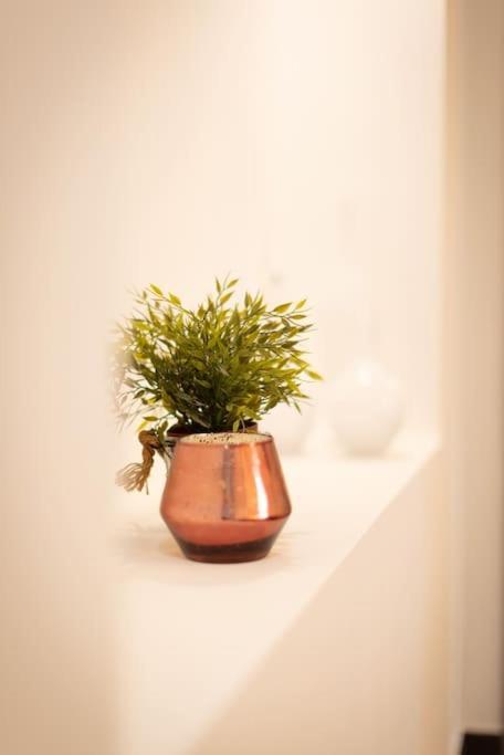 Mc Apartment San Giovanni Roma Dış mekan fotoğraf